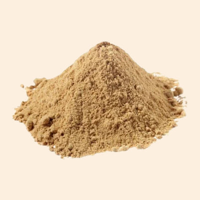 Chitrak Dry Extract