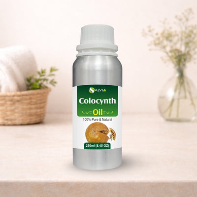 Colocynth Oil