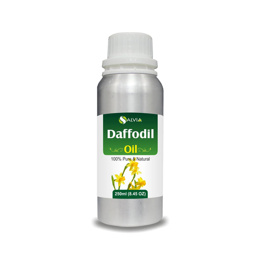 Daffodil Oil