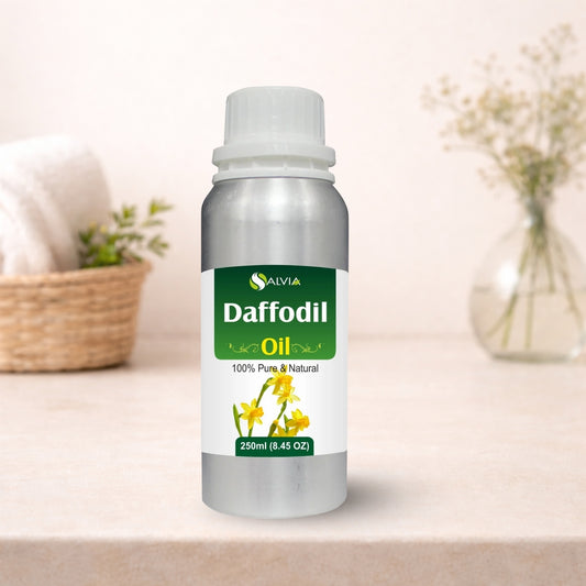 Daffodil Oil