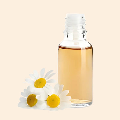 Daisy Flower Herbal Liquid Extract
