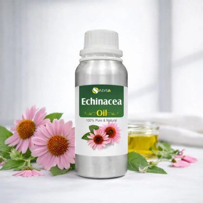 Echinacea Oil