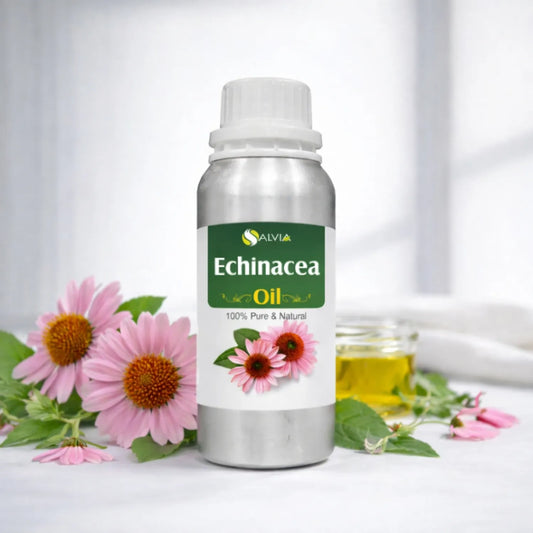 Echinacea Oil
