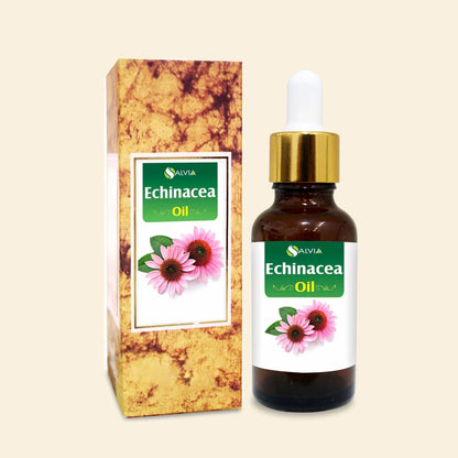 Echinacea Oil