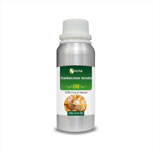 Frankincense Serrata Oil