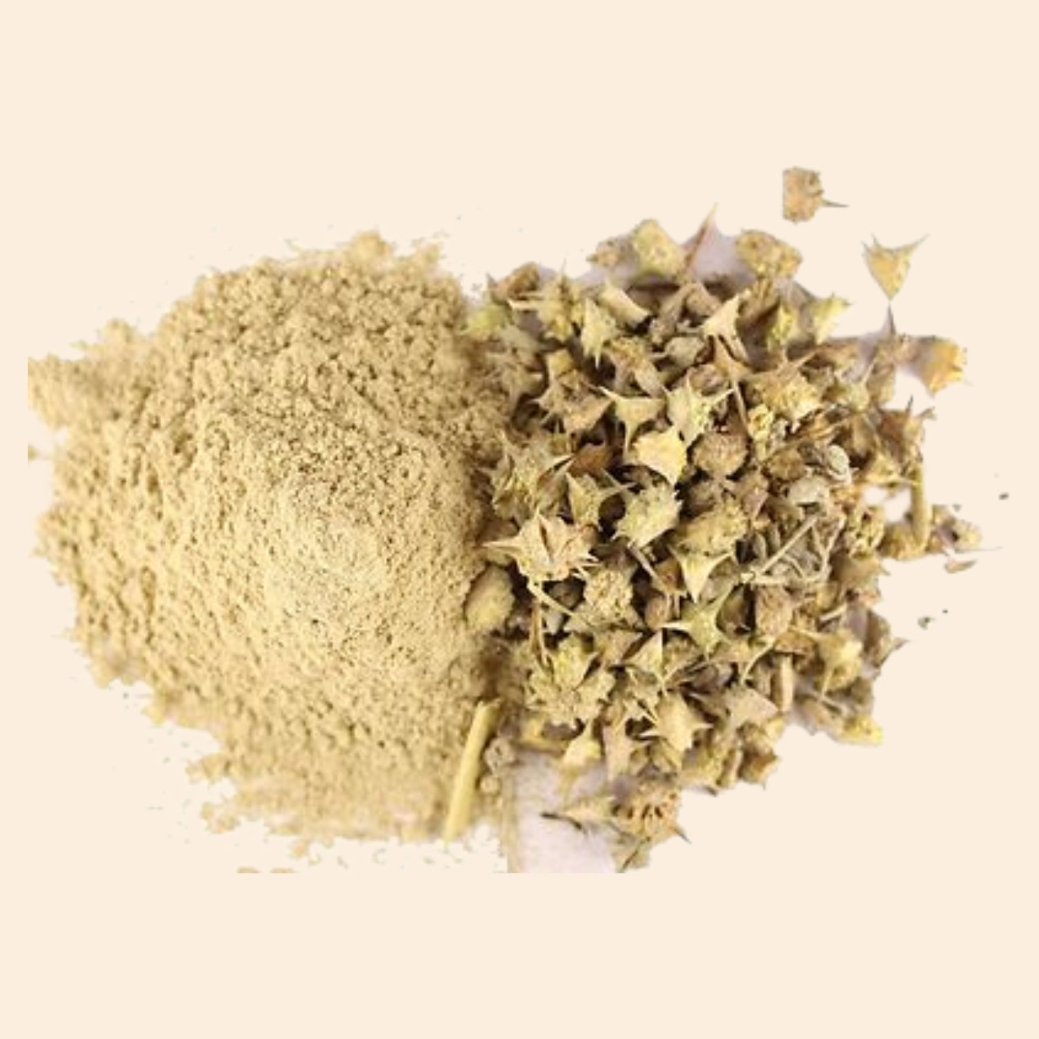Organic Gokhshura Powder