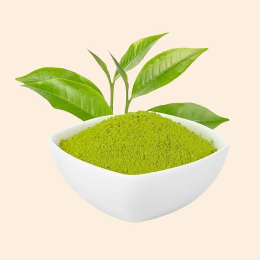 Green Tea Dry Extract