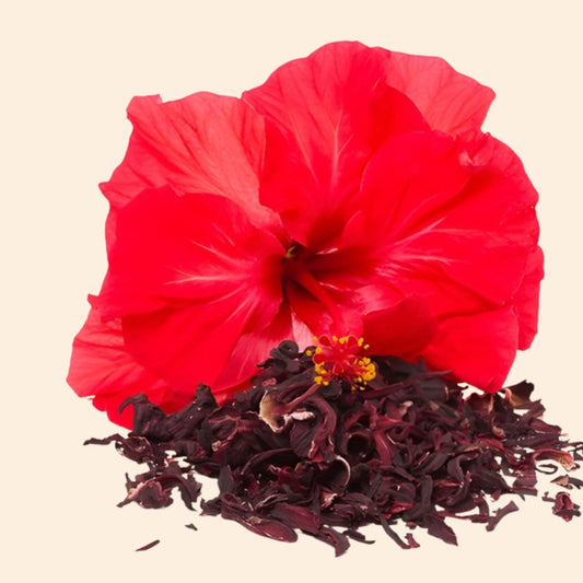Hibiscus Petals Dry Flower