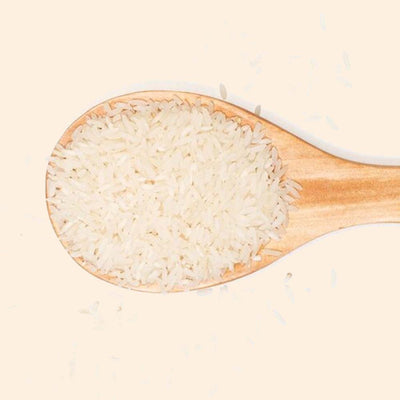 Hydrolyzed Rice Protein