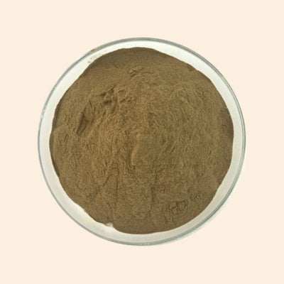 Khurasani Ajmo Dry Extract