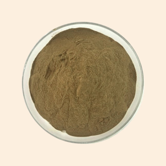 Khurasani Ajmo Dry Extract