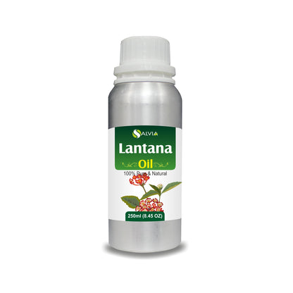 Lantana Essential Oil