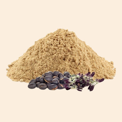 MYOC Organic Mucuna Powder, Velvet Bean, Dopamine Support, Ayurvedic Vitality