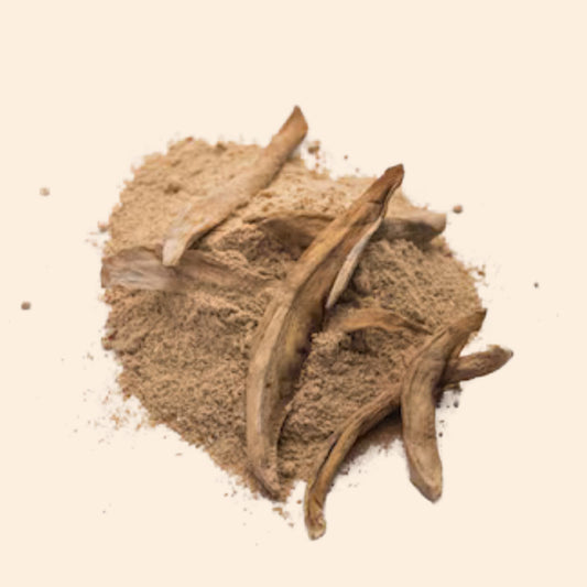 Patha Dry Extract