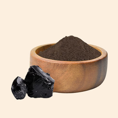 Shilajeet Dry Extract