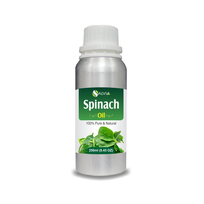 Spinach Oil