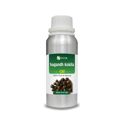 Sugandha Kokila Oil