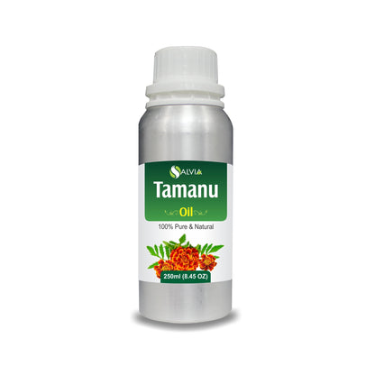 Tamanu Oil