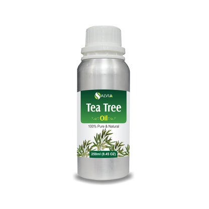 Tea Tree Oil for Dandruff Control