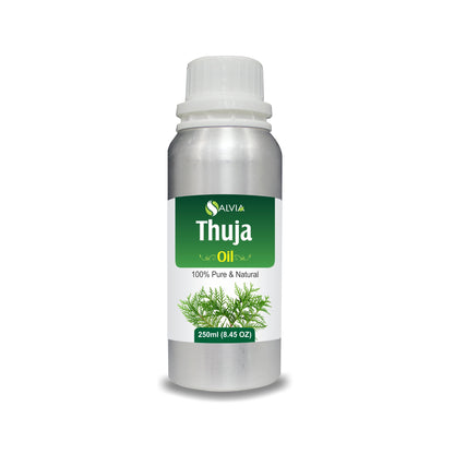 Thuja Essential Oil
