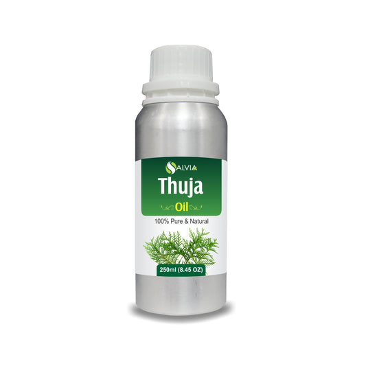 Thuja Essential Oil