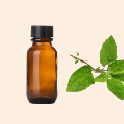 Tulsi Herbal Liquid Extract
