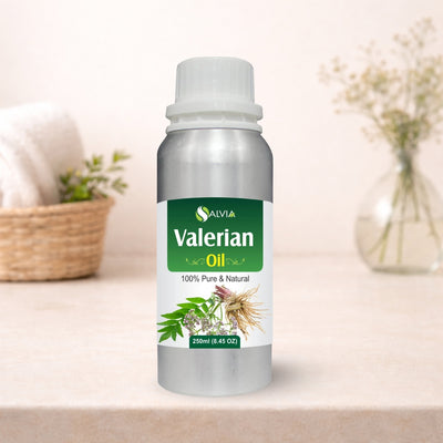 Valerian Essential Oil