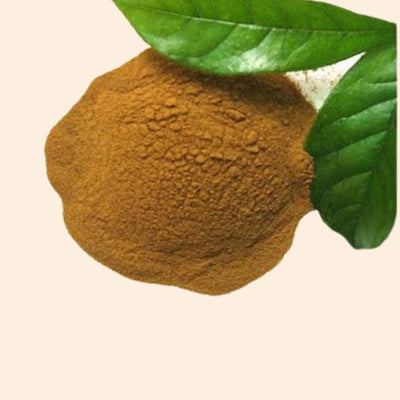 Vasaka Dry Extract