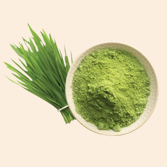 Organic Wheatgrass Powder