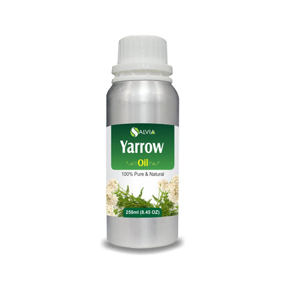 Yarrow Essential Oil