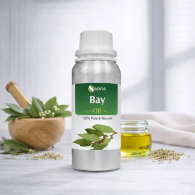 Bay Oil