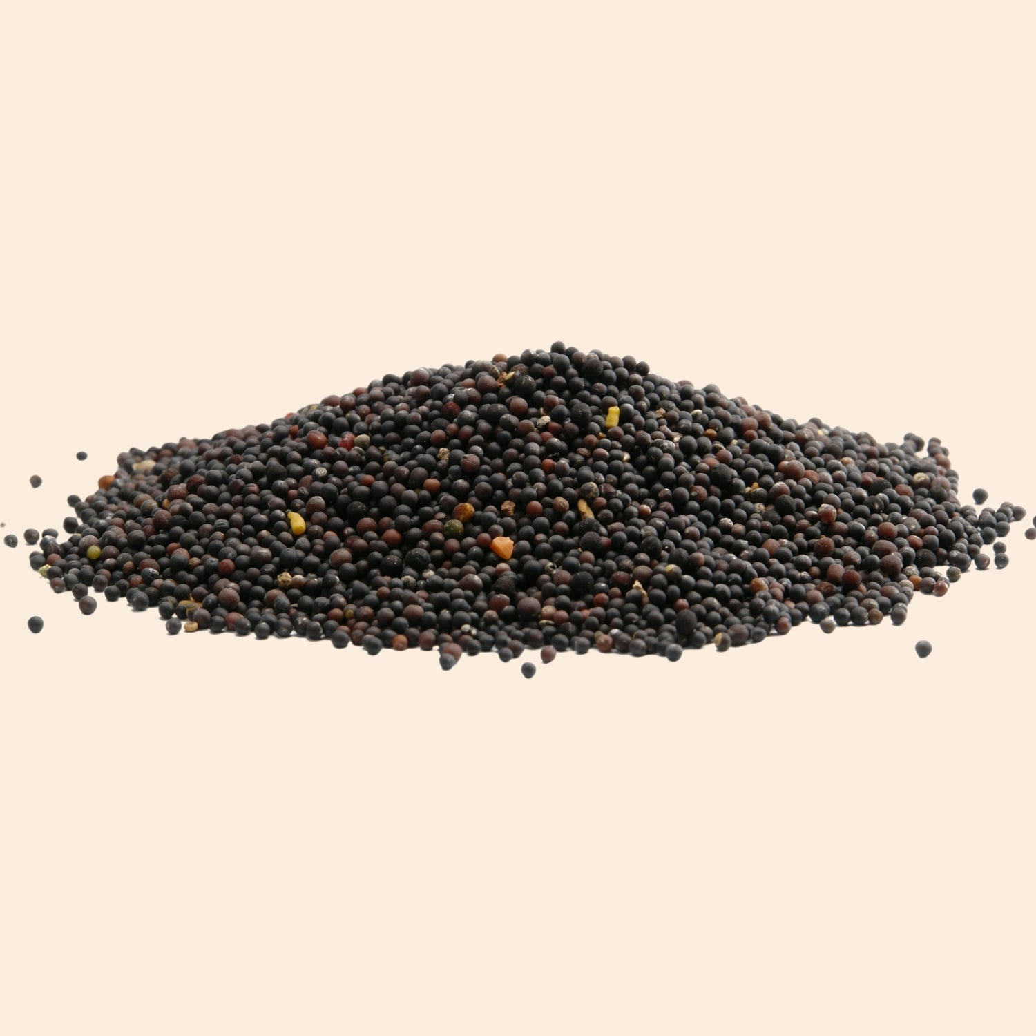 Organic Black Mustard Seed