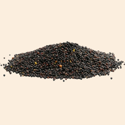 Organic Black Mustard Seed