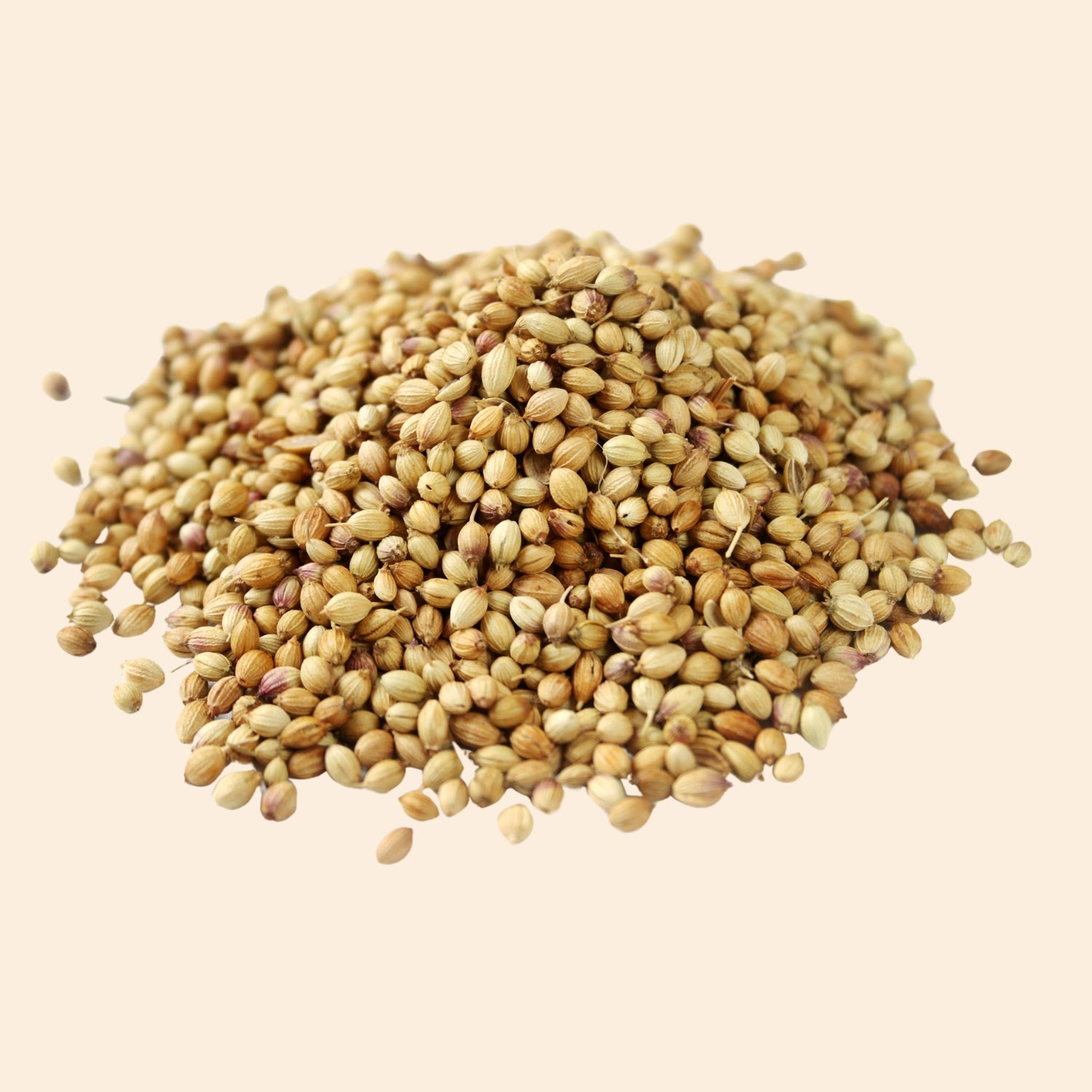 Organic Coriander Seeds