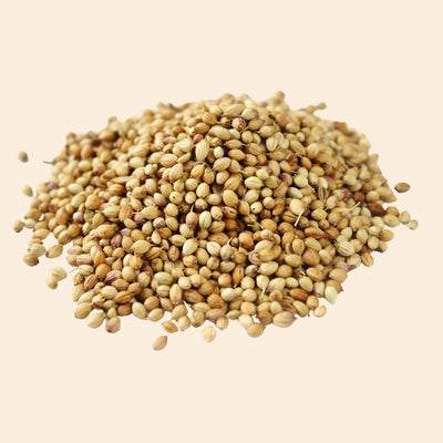 Organic Coriander Seeds