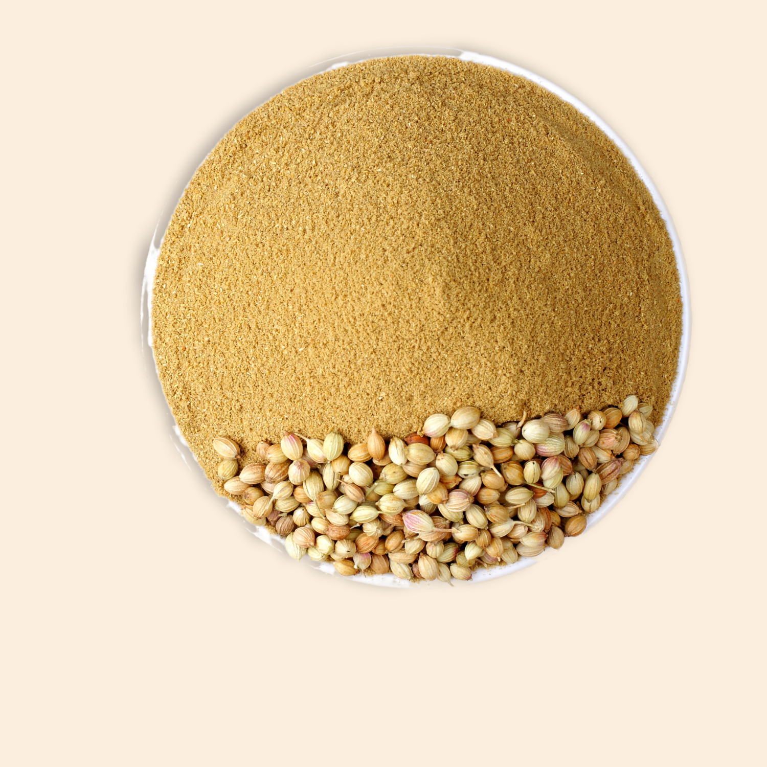 Organic Coriander Powder