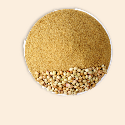 Organic Coriander Powder
