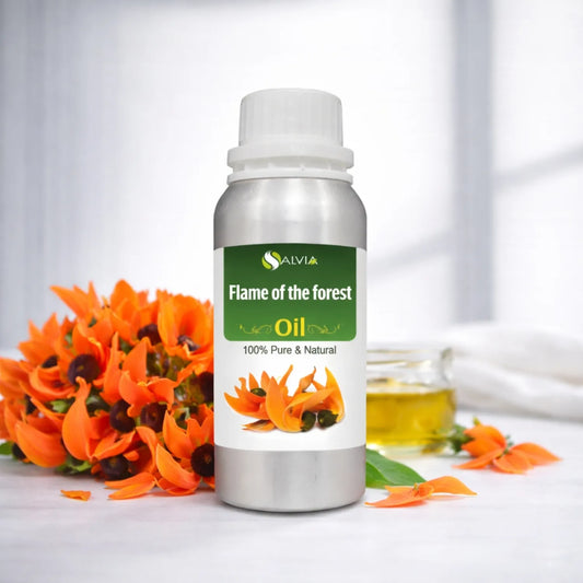 Flame of the Forest Oil