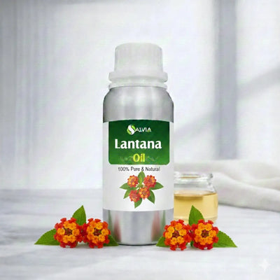 Lantana Oil