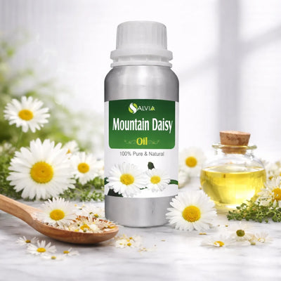 Mountain Daisy Oil