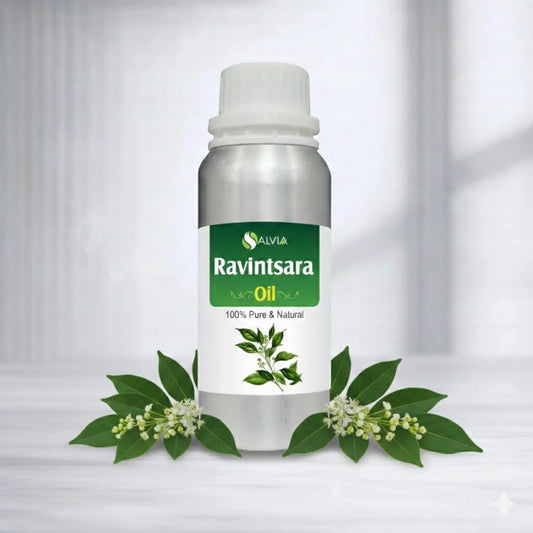 Ravintsara Oil