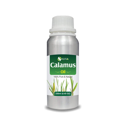 Calamus Natural Pure Essential Oil