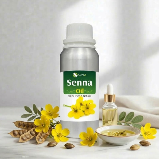 Seena Oil