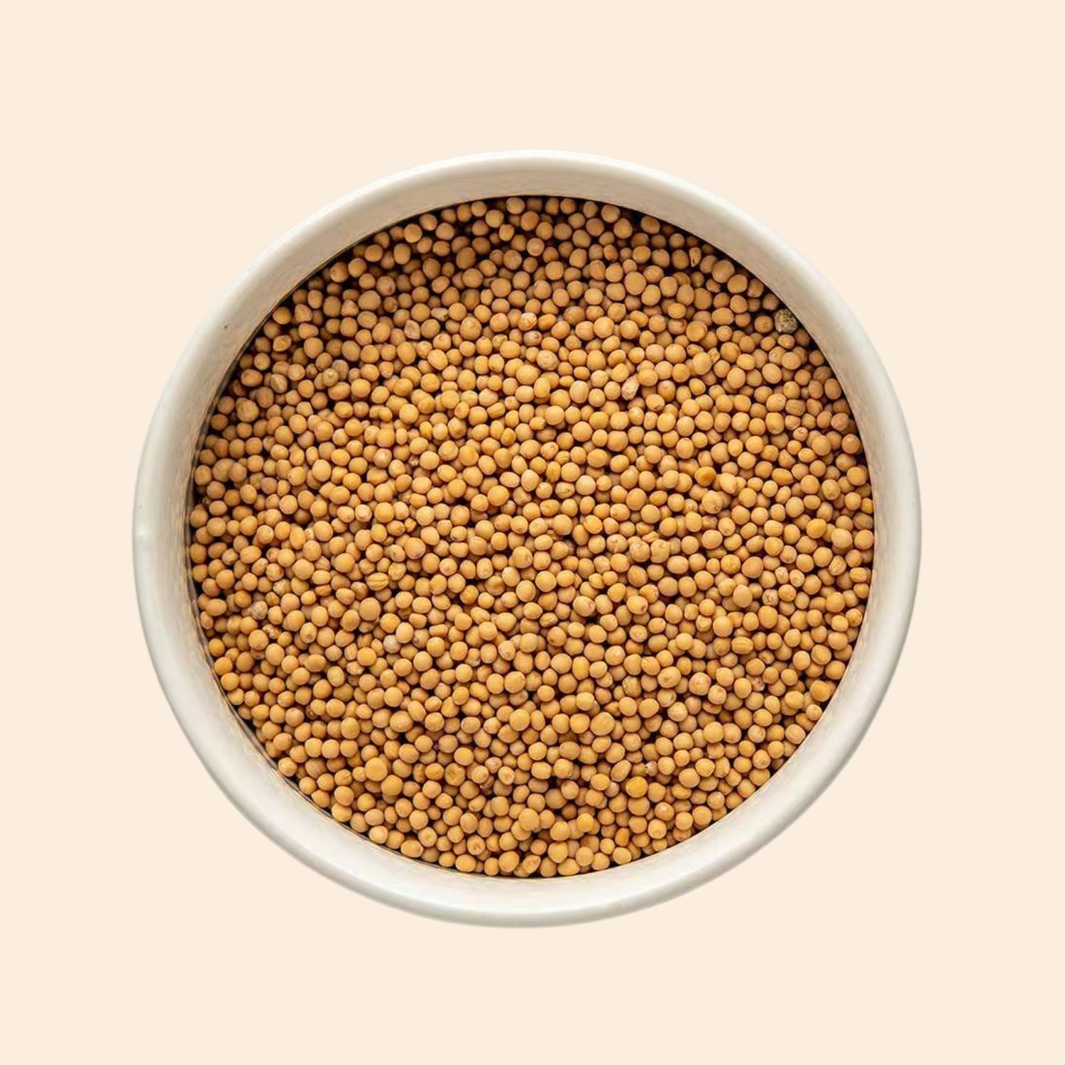 Organic Yellow Mustard Seed